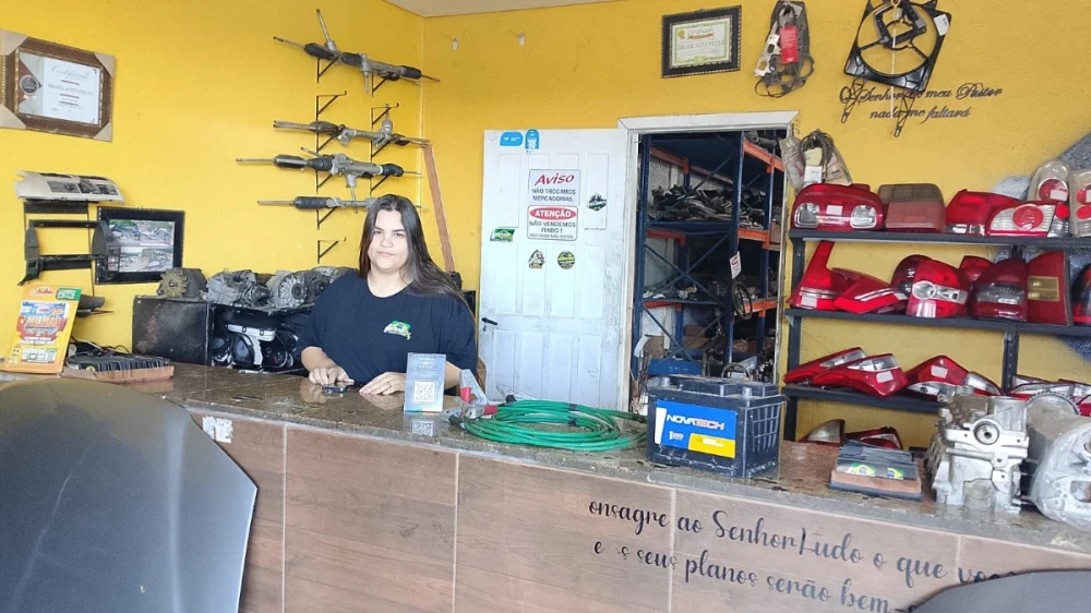 Auto Peças Brasil